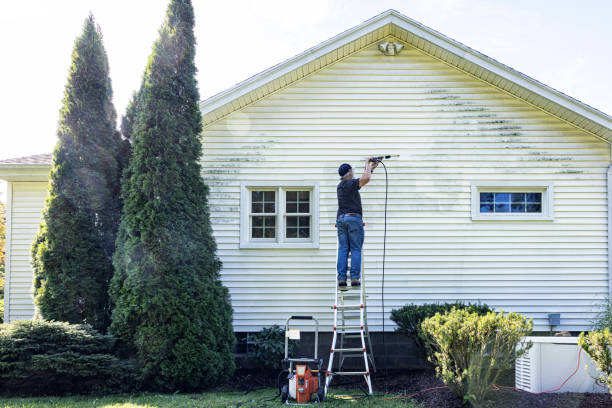 Best Brick and Stone Cleaning in USA